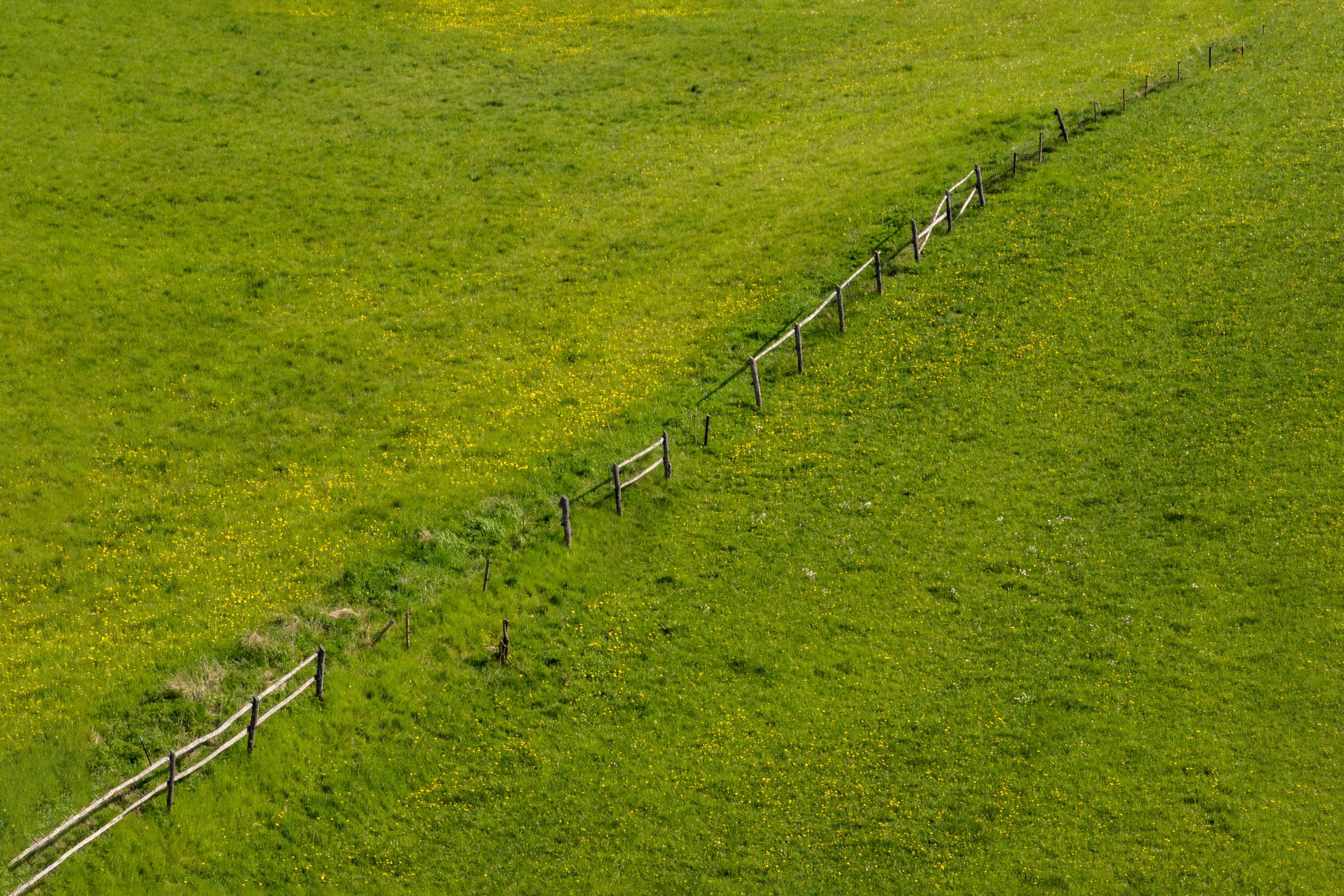 Fencing Check